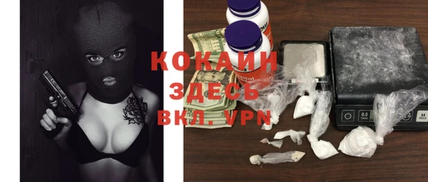круглые Осинники