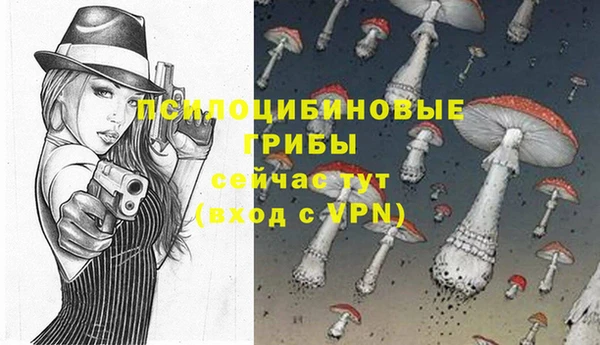 мескалин Горнозаводск