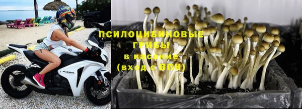 мескалин Горнозаводск