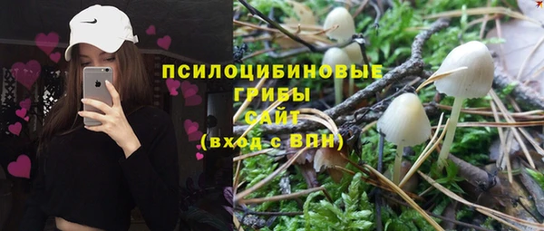 а пвп мука Горняк