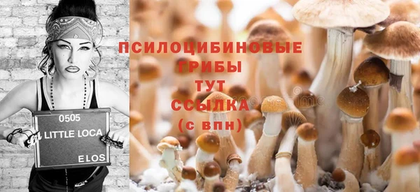 а пвп мука Горняк
